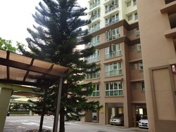 evergreen-park photo thumbnail #1